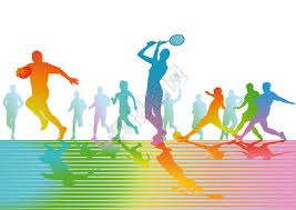 综合体育赛季阶段总结 各项目走势综合评估